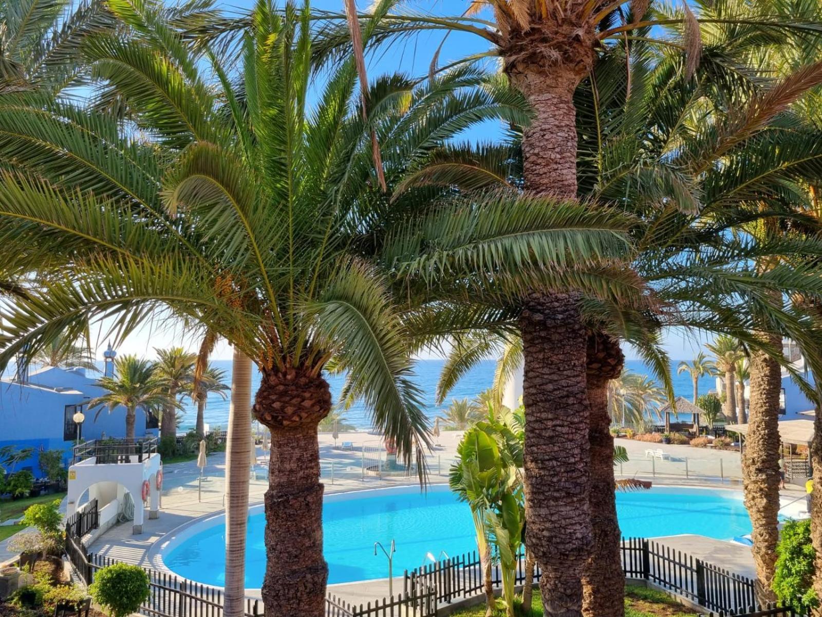 Sun Club top bungalow terraza Maspalomas  Zewnętrze zdjęcie
